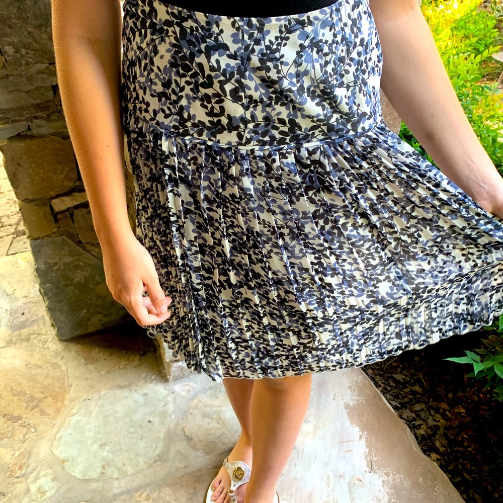 Ann Taylor Skirt